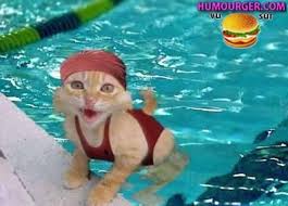 Meeting Argentan samedi 13 mai Meeting Argentan samedi 13 mai